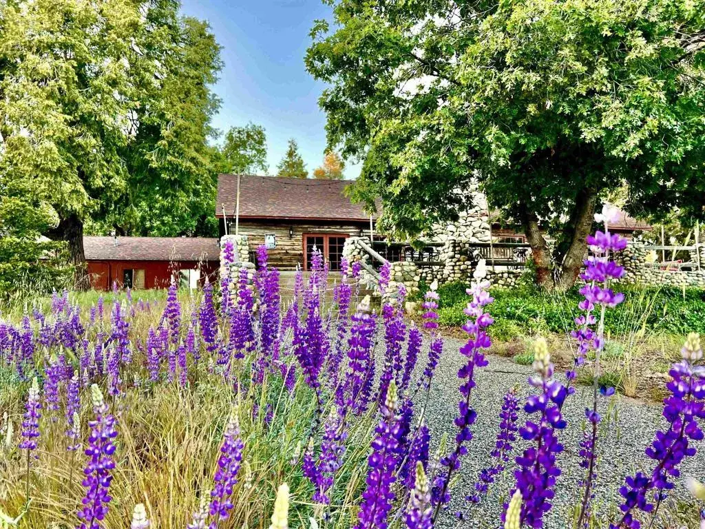 22228 Crestline Road, Palomar Mountain, CA 92060 - #1