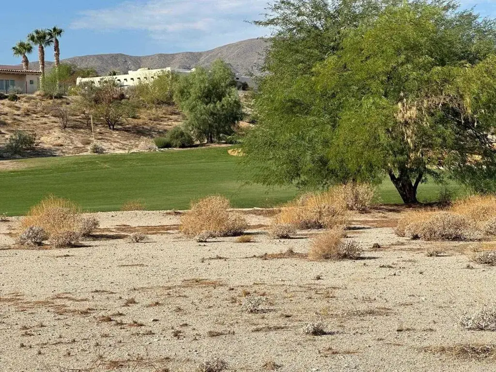 0 Roadrunner, Borrego Springs, CA 92004 - #1