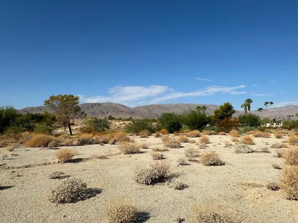 0 Roadrunner, Borrego Springs, CA 92004 - #1
