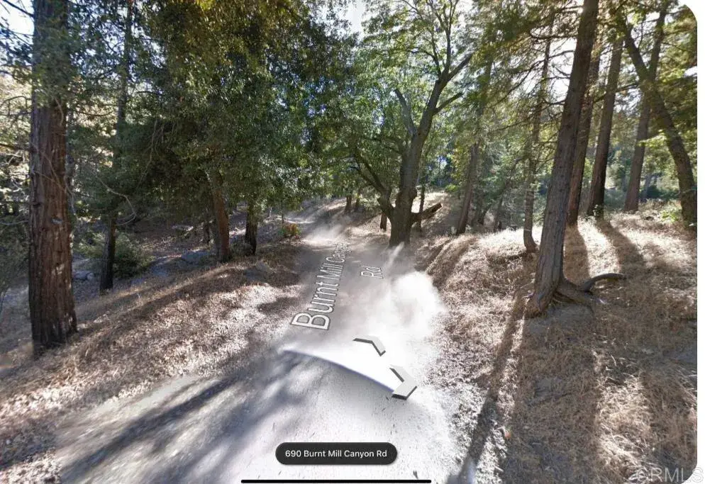 0 Burnt Creek Canyon, Cedarpines Park, CA 92322 - #1
