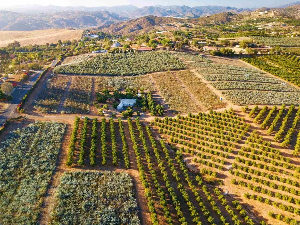 31817 Via Ararat, Bonsall, CA 92003 - #1