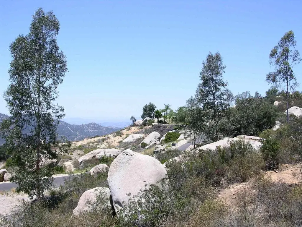 Welcome View, Escondido, CA 92026 - #1