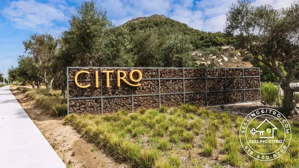 308 Seedling Way, Fallbrook, CA 92028 - #1