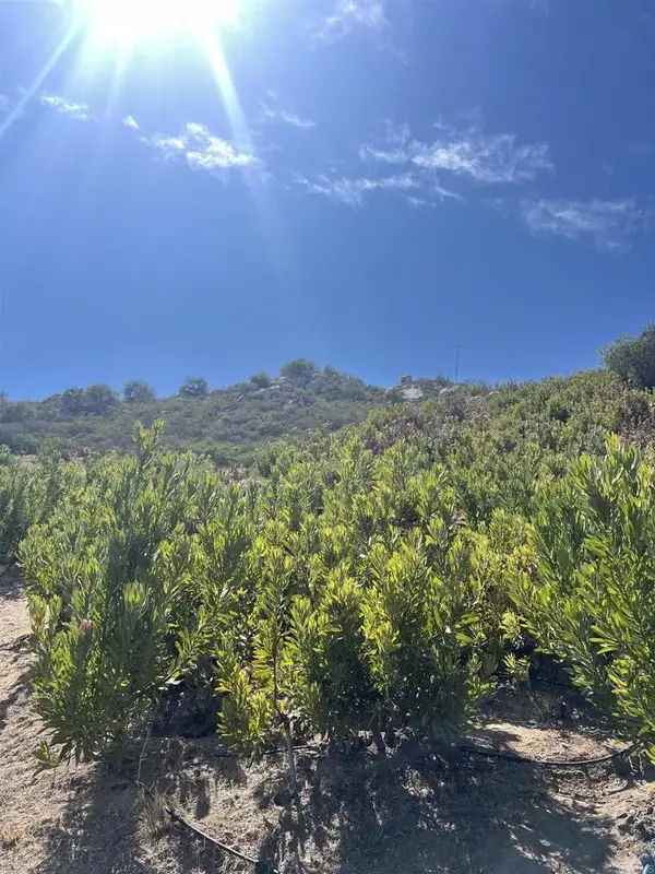 26336 N Lake Wohlford, Valley Center, CA 92082