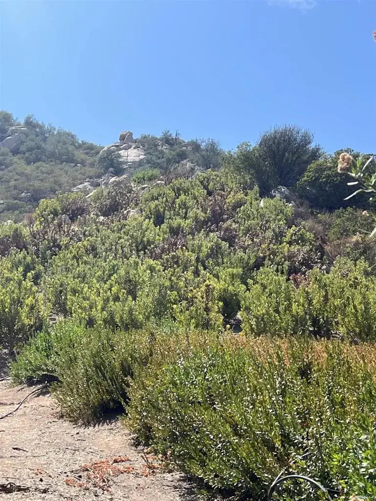 26336 N Lake Wohlford, Valley Center, CA 92082 - #3