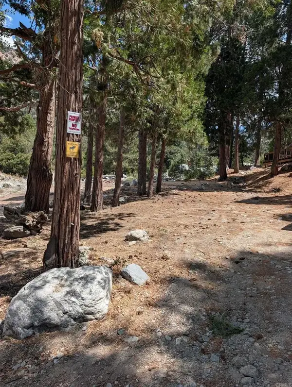 0 Island Dr, Forest Falls, CA 92339