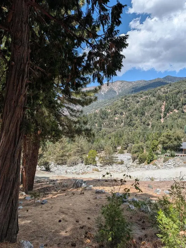0 Island Dr, Forest Falls, CA 92339 - #2
