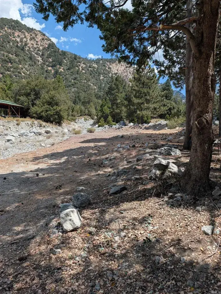 0 Island Dr, Forest Falls, CA 92339 - #3