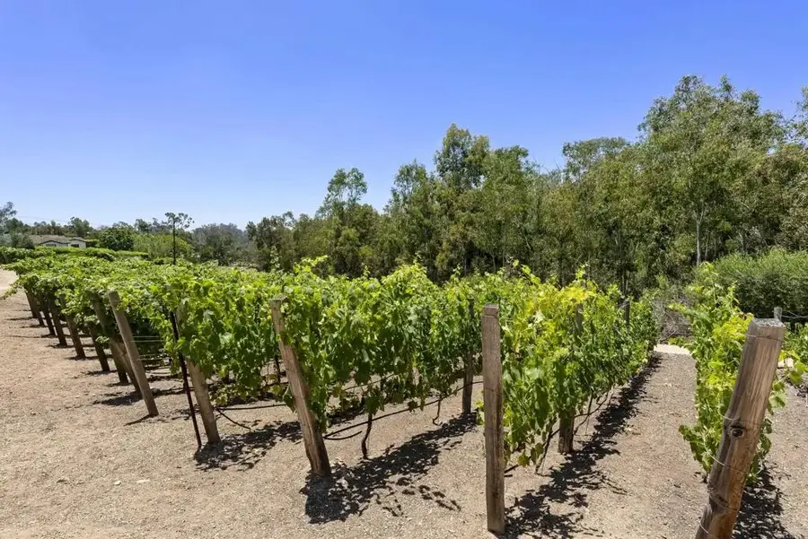 5293 La Glorieta, Rancho Santa Fe, CA 92067 - #2
