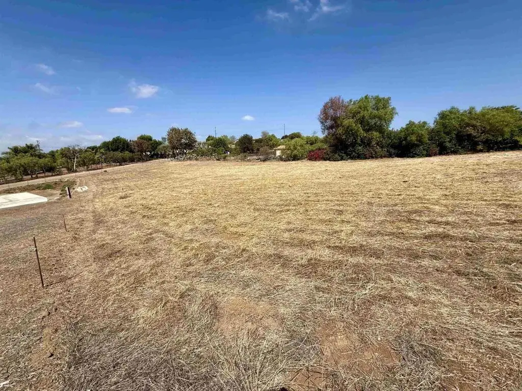 1916 Grey Rabbit Hollow, Fallbrook, CA 92028 - #1