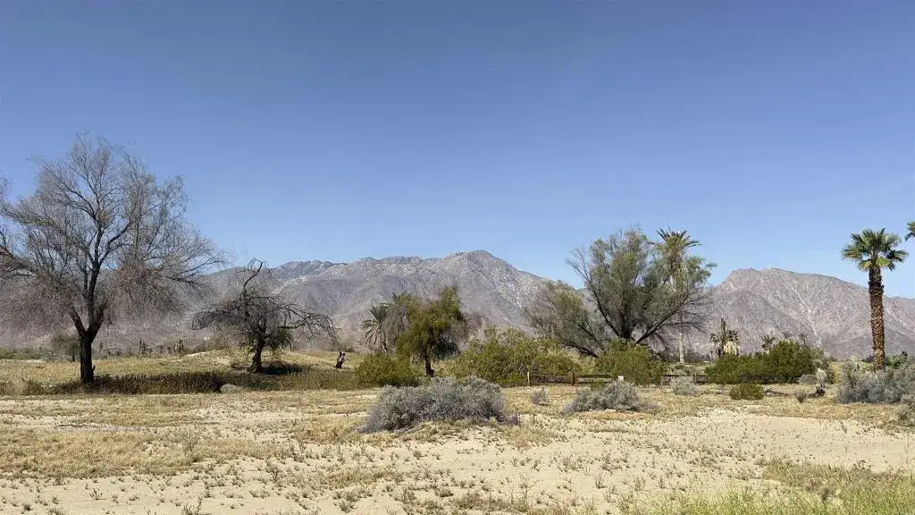0 Foursome, Borrego Springs, CA 92004 - #1