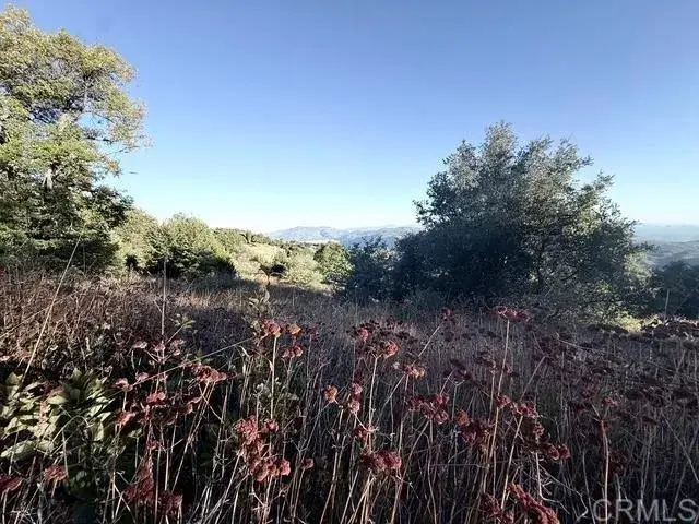 29 Acres East Grade, Palomar Mountain, CA 92060 - #3