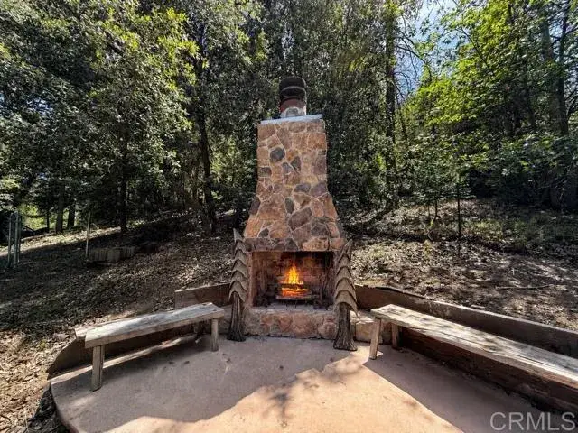 22045 Crestline Road, Palomar Mountain, CA 92060 - #3