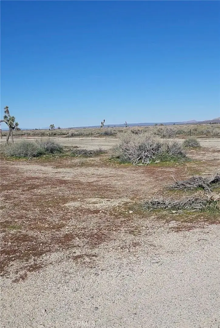 0 Vic Ave R Vic 80th Ste, Palmdale, CA 93552 - #2