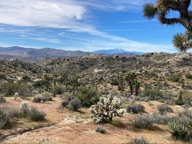 57296 Manzanita, Yucca Valley, CA 92284 - #2