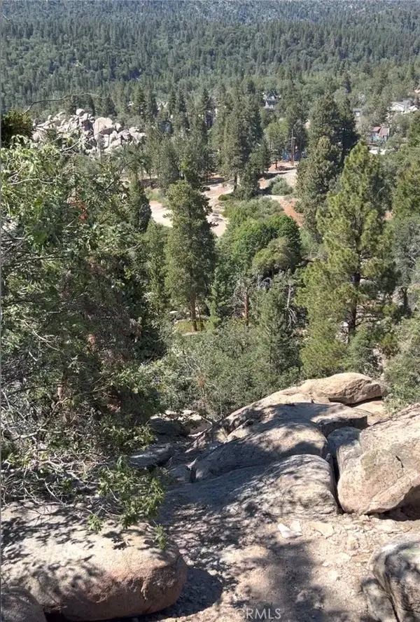 1 Deer Lick, Arrowbear, CA 92382