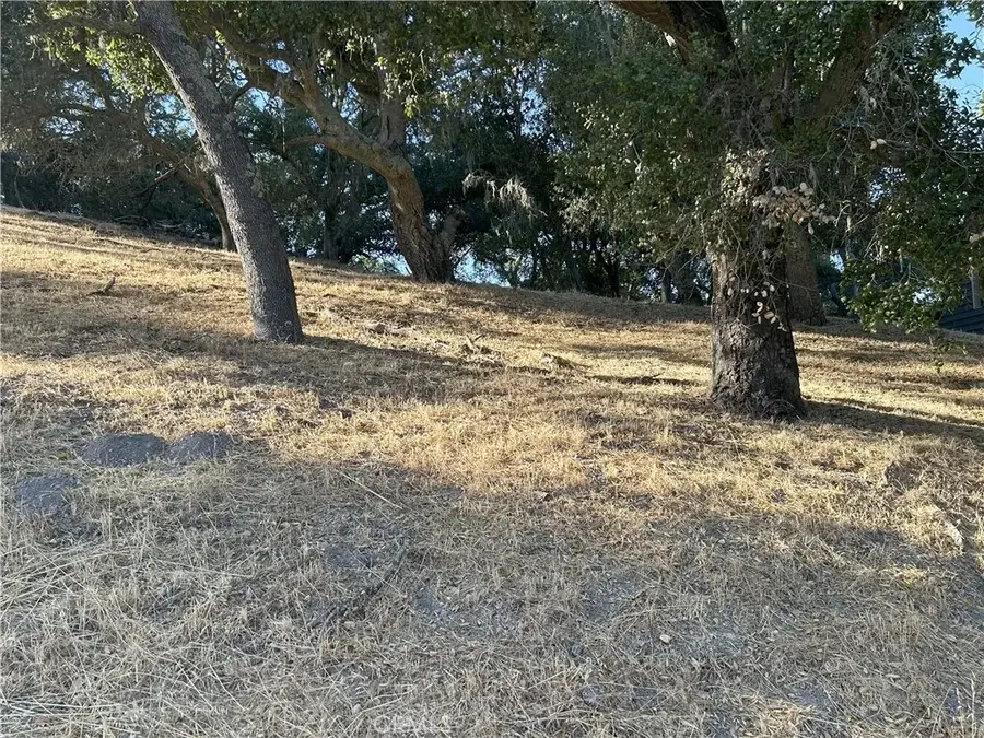 #3