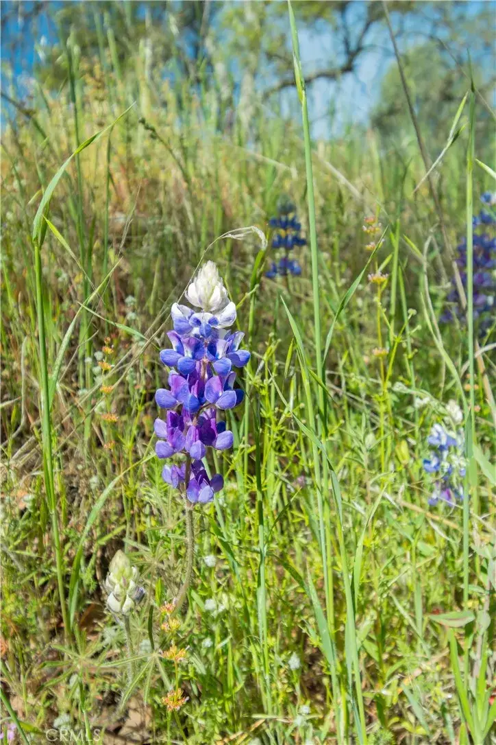 0 Av Ranch, Lockwood, CA 93928 - Image #1