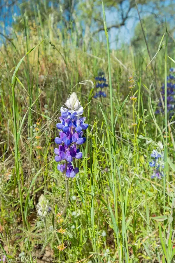 0 Av Ranch, King City, CA 93928