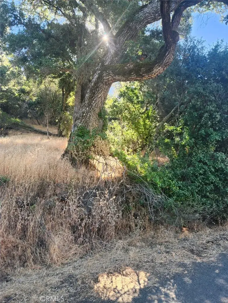 4010 Foothill, Lucerne, CA 95458 - #1