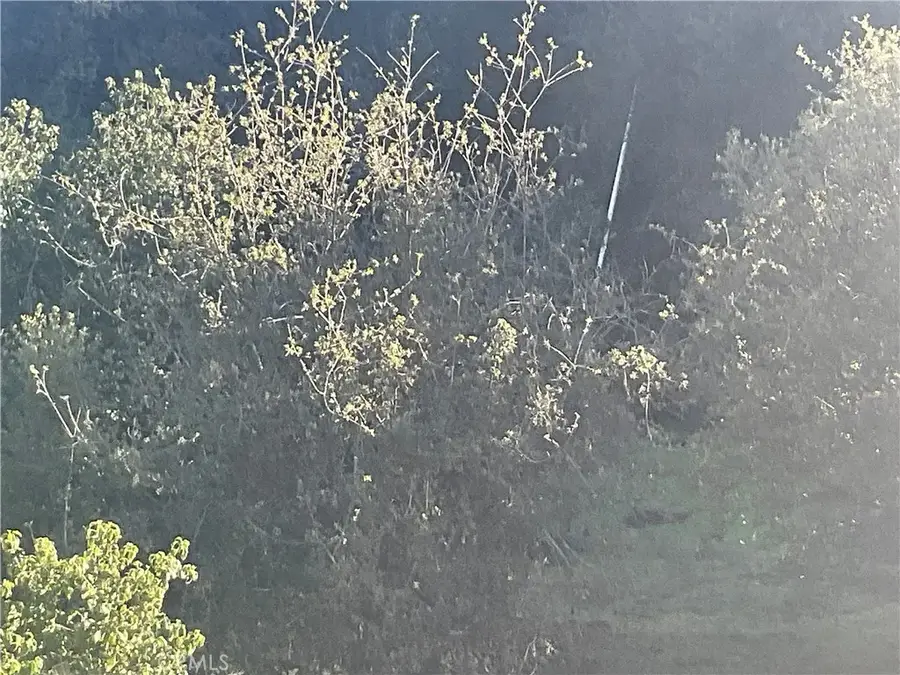 67034 Paulsen, Lockwood, CA 93932 - #3