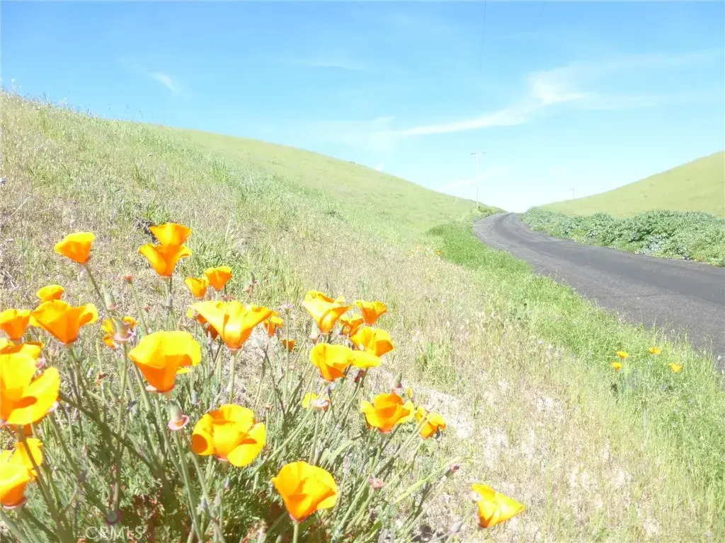 0 Douglas Rd. (lots 28, 33 & 34), San Miguel, CA 93451 - #1