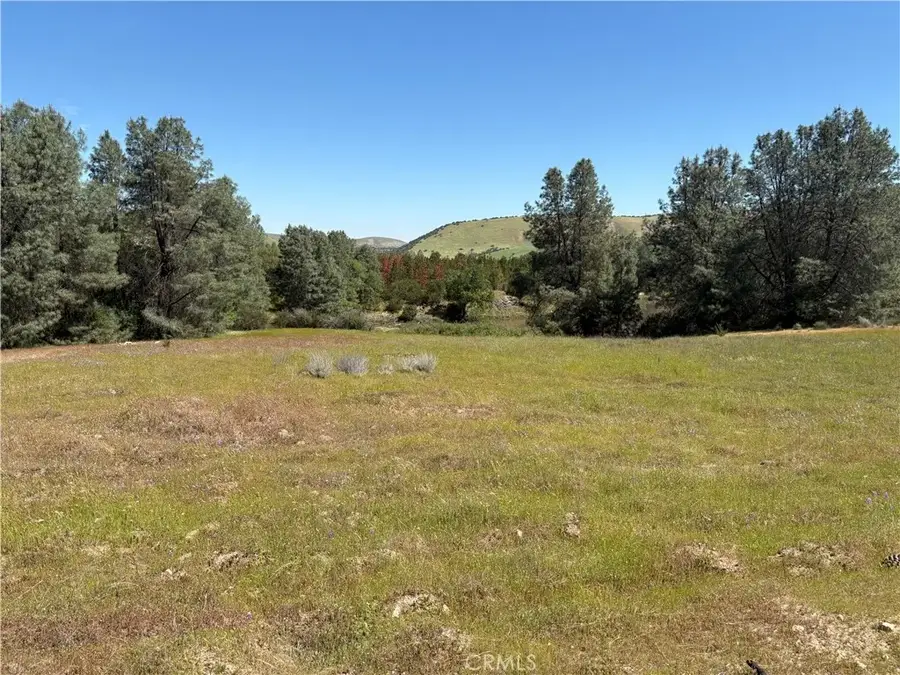 705 Calf Canyon, Creston, CA 93432 - #2