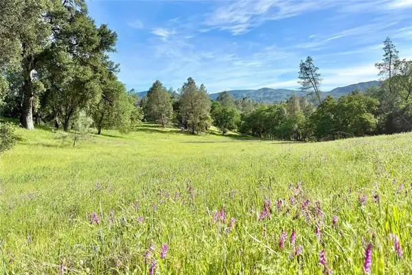 75370 Turkey, Bradley, CA 93426