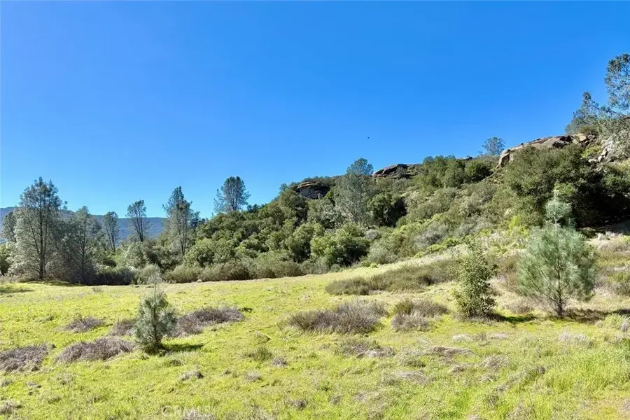 75370 Turkey, Bradley, CA 93426 - #2