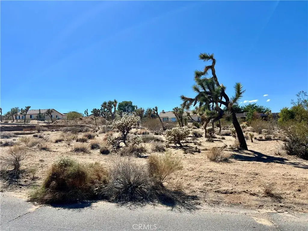 0 Sunny Vista, Joshua Tree, CA 92252 - Image #1