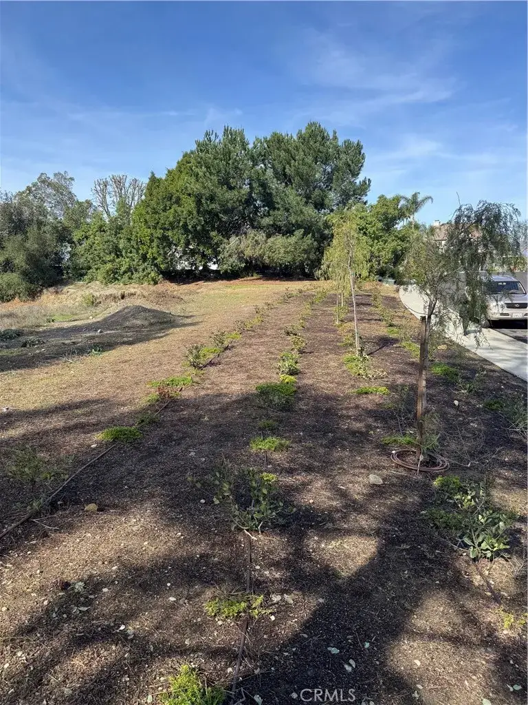 1562 Calle Cristina, San Dimas, CA 91773 - Image #2