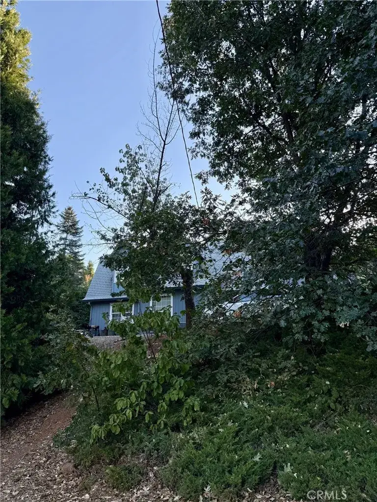 2781 Larsen, Camino, CA 95709 - Image #3