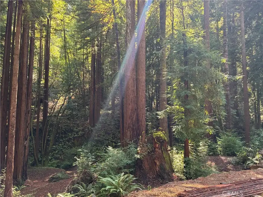 16125 Bittner Road, Occidental, CA 95465 - Image #2