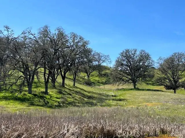 355 Pine Ridge, Lakeport, CA 95453 - Image #3