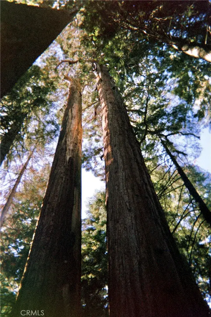 54584 Ponderosa, Springville, CA 93265 - Image #1