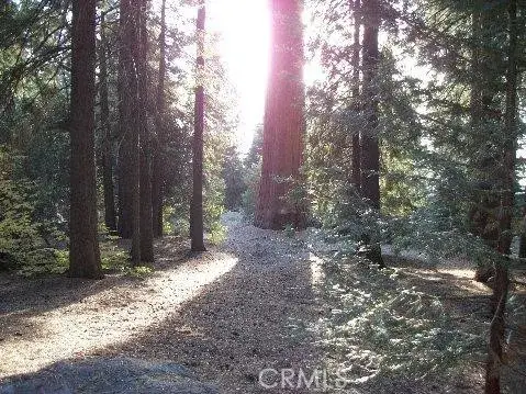 54584 Ponderosa, Springville, CA 93265 - Image #2