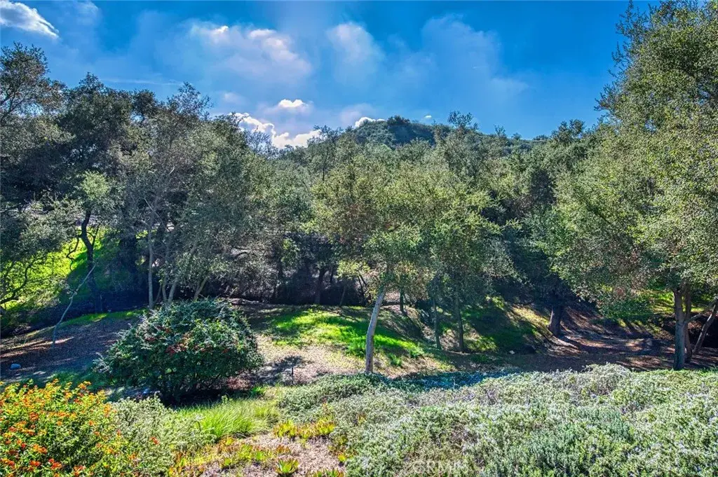 66 Mesquite, Trabuco Canyon, CA 92679 - Image #1
