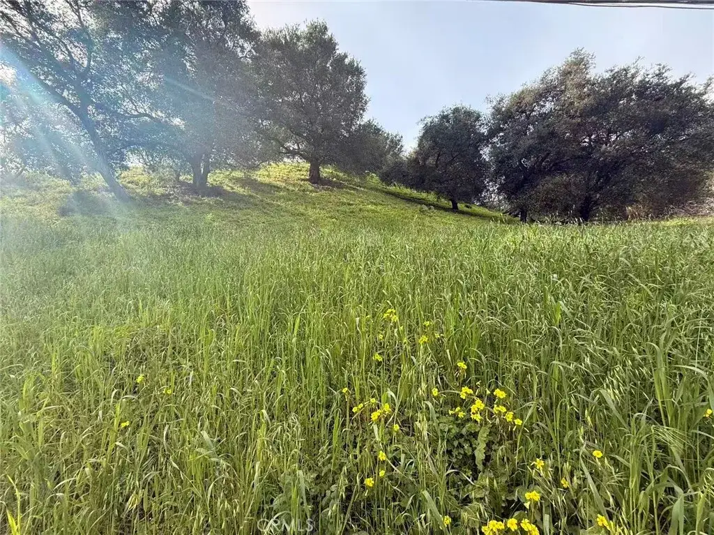 3669 Coldwater Canyon, Studio City, CA 91604 - #1