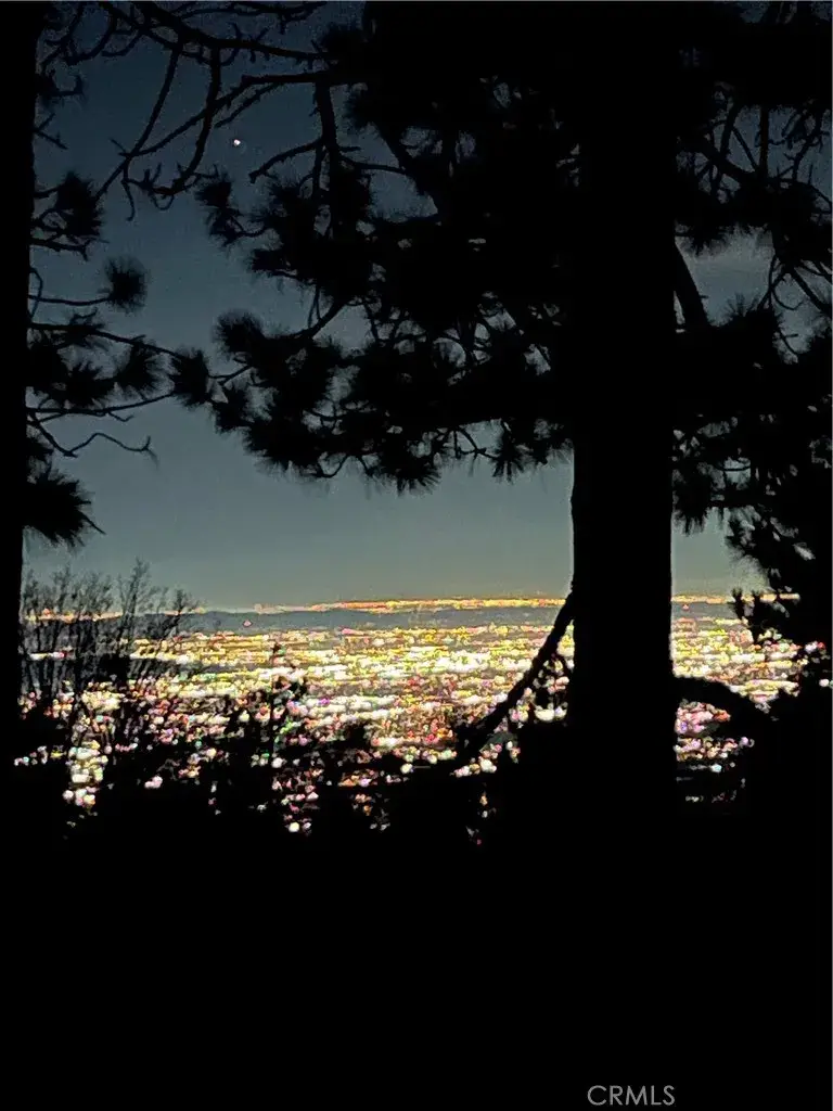 30881 Live Oak, Running Springs, CA 92382 - #3