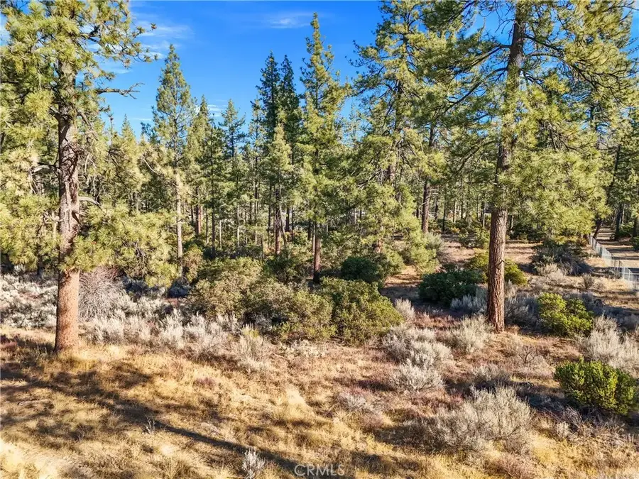 1 Pipe Creek, Mountain Center, CA 92561 - #2