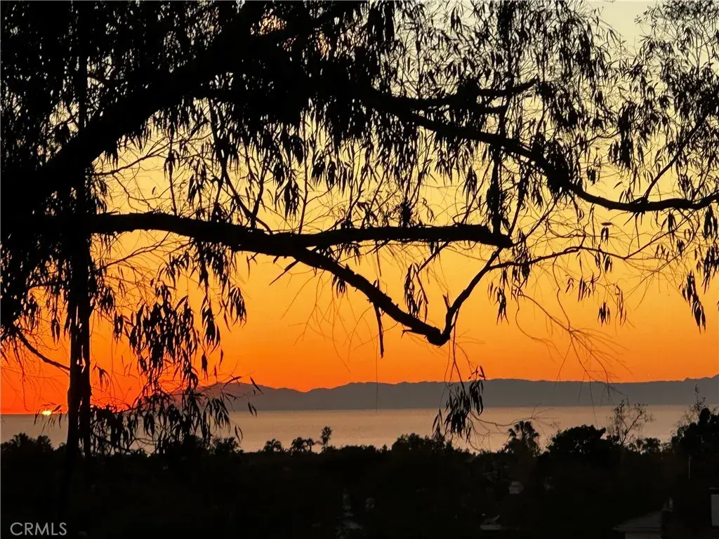 25091 Danapepper, Dana Point, CA 92629 - #1