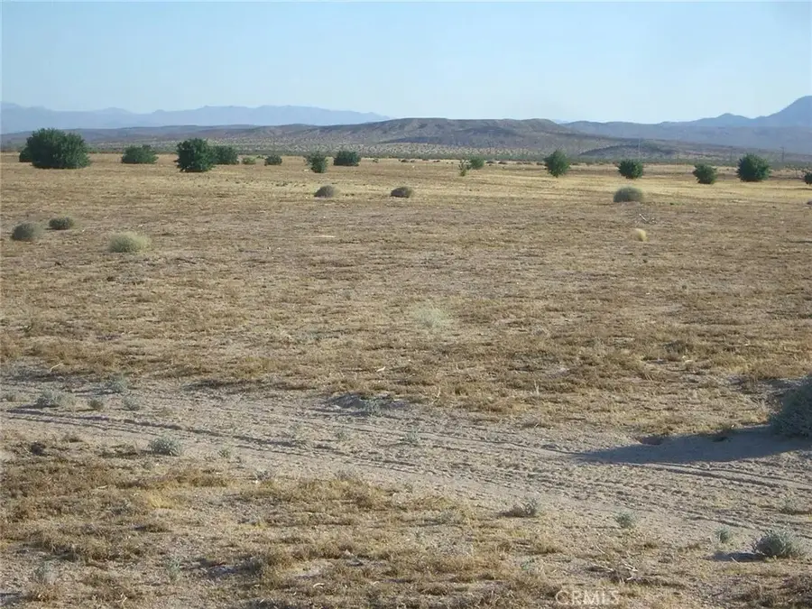 41331 Coyote Lake, Newberry Springs, CA 92365 - #2