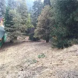 23795 Zuger, Crestline, CA 92325 - #1