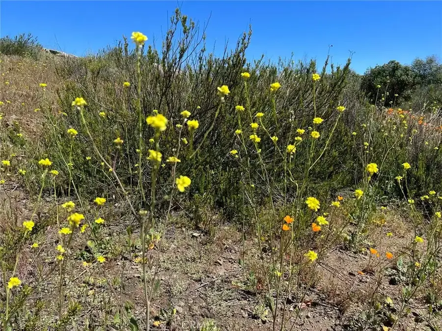 0 Stanley, Hemet, CA 92544 - #3
