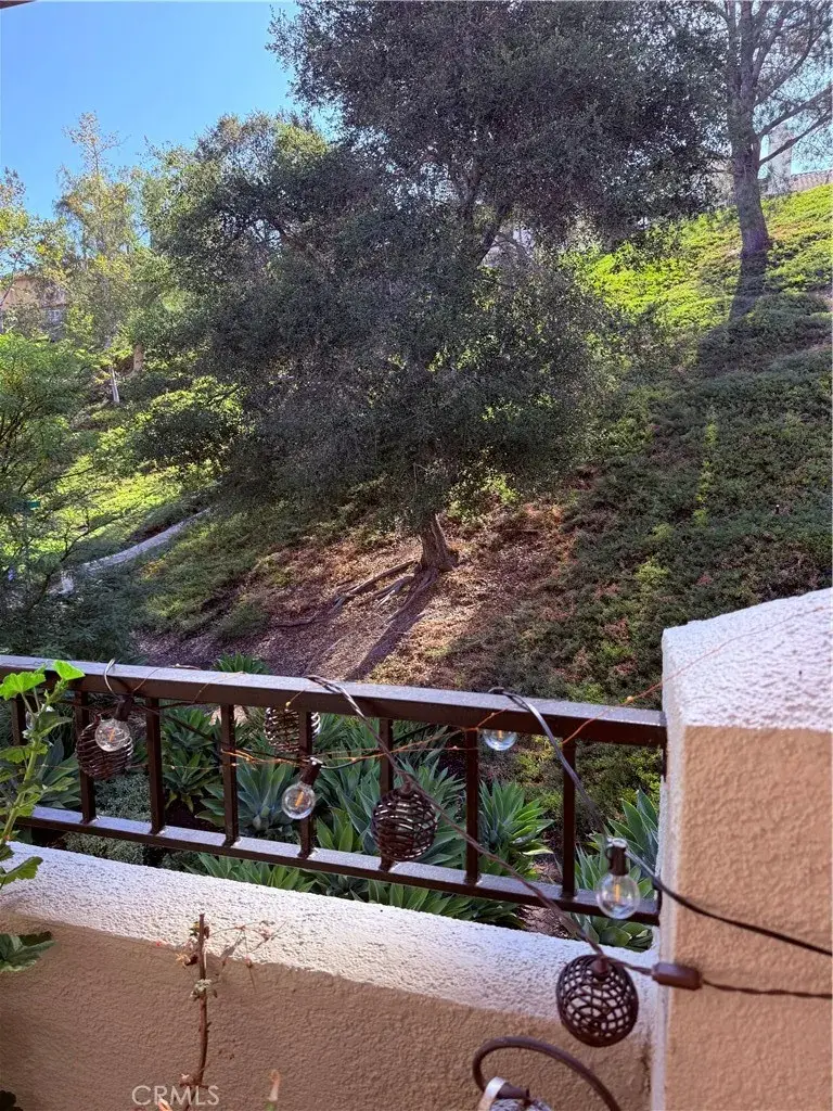 134 Sandpiper, Aliso Viejo, CA 92656 - #3