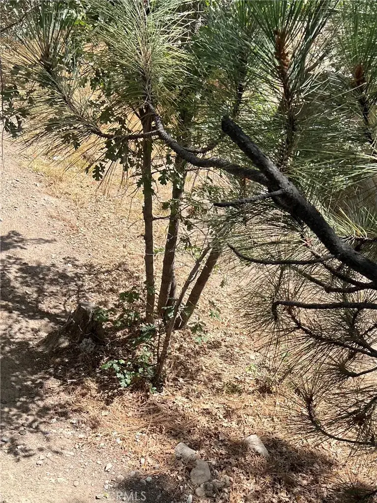 0 Robin, Running Springs, CA 92382 - #1