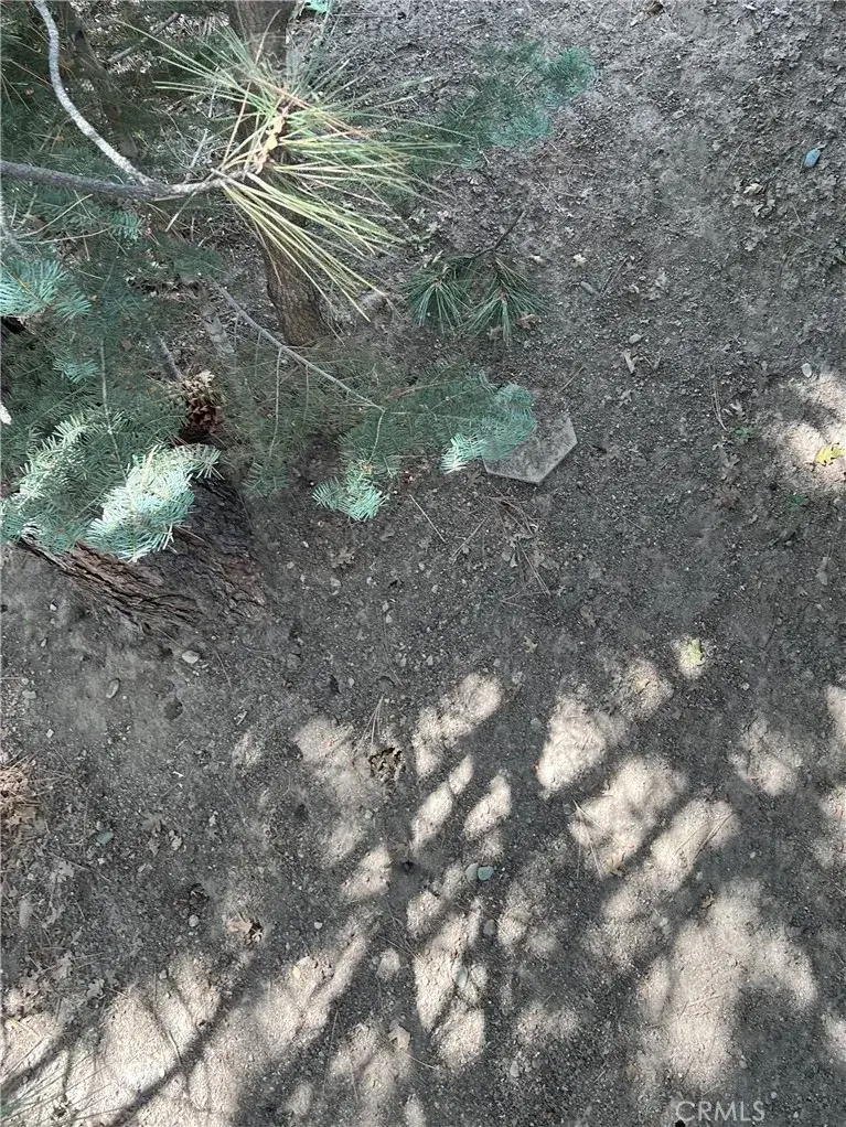 0 Robin, Running Springs, CA 92382 - #2