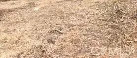 0 Trinity Lot 343, Lake Arrowhead, CA 92352 - #1