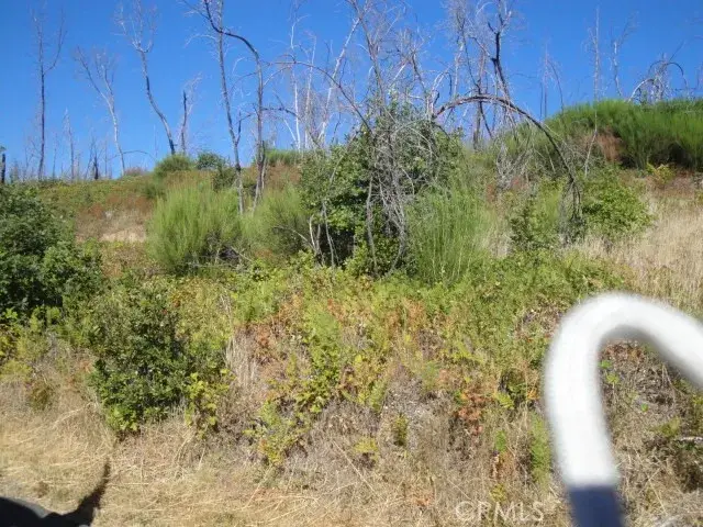 0 Meadow, Berry Creek, CA 95916 - #1