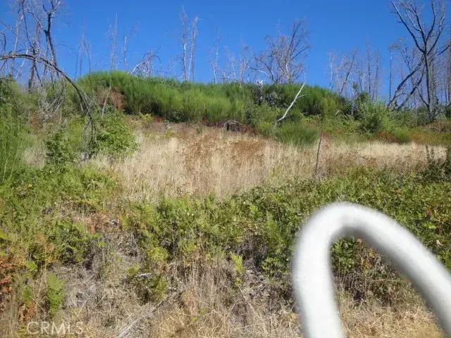 0 Meadow, Berry Creek, CA 95916 - #2